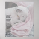 Suche nach rainbow bridge poster Haustiere