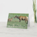 Suche nach nasen karten Elch