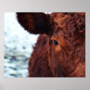 Recherche de animal ferme posters Mother