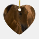 Suche nach kastanien ornamente Pferd