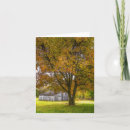 Suche nach herbstbaum karten Land