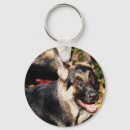 Suche nach german shepherd schlüsselanhänger Tiere