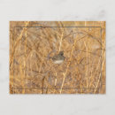 Recherche de gonflé cartes postales Froid