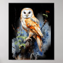 Suche nach schleiereule poster Natur