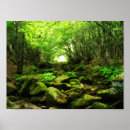 Recherche de spirituality posters Trees