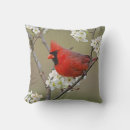 Recherche de cardinal du nord coussins Nature