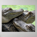 Suche nach good times poster Foto