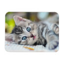 Recherche de aux yeux bleus magnets Animal mignon
