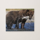 Recherche de saumon puzzles Alaska