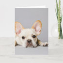 Recherche de puppy vœux cartes French bulldog
