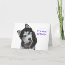 Suche nach husky karten Hund