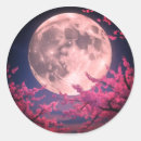 Suche nach vollmond aufkleber Himmel