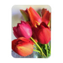 Recherche de tulipe magnets Bouquet