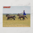 Recherche de horseman Cowboy