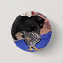 Recherche de observé badges Chat