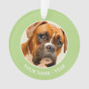 Suche nach boxerwelpe Tier