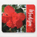 Suche nach orange foto mousepads Blume