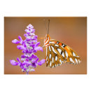 Recherche de brights art Fleur sauvage