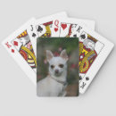 Suche nach chihuahua spielkarten Dog