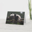 Recherche de chengdu vœux cartes Chine