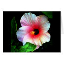 Suche nach hibiskus tischkarten Tabelle