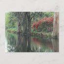 Suche nach spanisches moos poster Landschaft