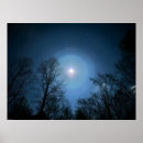 Recherche de ciel clair art Arbres