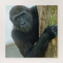 Recherche de gorilles puzzles Primate