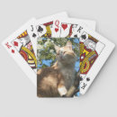 Suche nach verrückte katze spielkarten Kitty