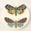 Suche nach collections Sammlung