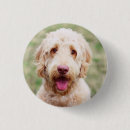 Suche nach lächelndes tier buttons Niedlich