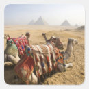 Suche nach kairo aufkleber Ägypten