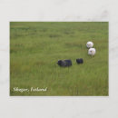 Suche nach icelandic poster Travel