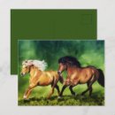 Recherche de islandais cartes postales Poney