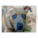 Suche nach brindle karten Grubenbulle