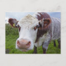 Recherche de agriculture cartes invitations Nature