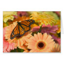 Recherche de bronze cartes postales Doré