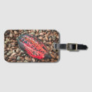 Recherche de cacao bagages étiquettes Chocolat
