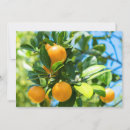 Suche nach orangenbaum karten Blume