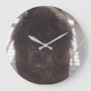 Recherche de terre neuve horloges Grand chien