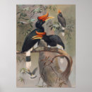 Recherche de zoologique posters Nature
