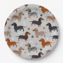 Recherche de dachshund paper assiettes Chien