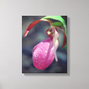 Suche nach rosa orchidee leinwandbilder Für sie