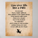 Recherche de attitude posters Mignon