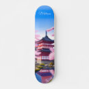 Recherche de temple skateboards Paysage