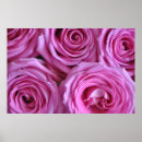 Suche nach macro poster Pink