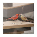 Suche nach die küssen fliesen Vögel