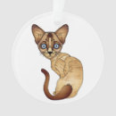 Suche nach siamesisch ornamente Katzen