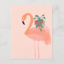 Suche nach flamingo postkarten Natur