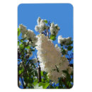 Recherche de lilas et blanc magnets Fleurs